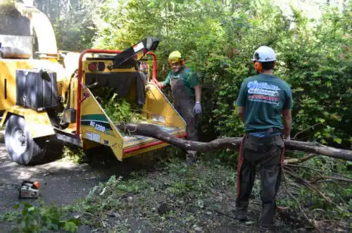 tree services Monroe Center